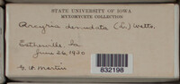 Image Associated With the Occurence